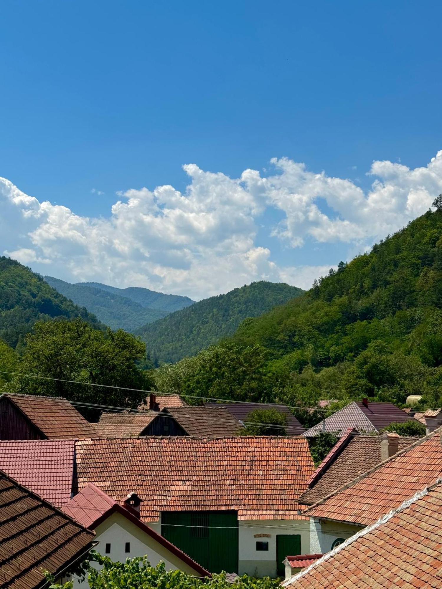 Casa Presecan Tălmaciu Exterior foto